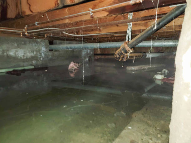 Best Water damage restoration cost  in Valley Green, PA