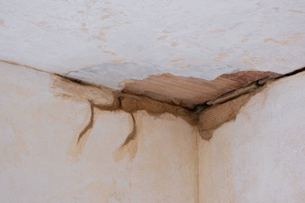 Best Sewage cleanup and water damage restoration  in Valley Green, PA