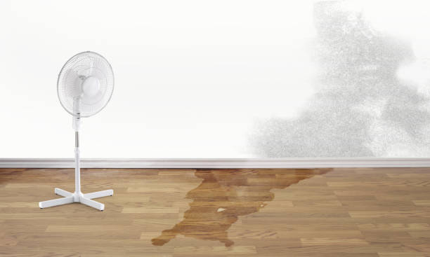 Best Basement water damage restoration  in Valley Green, PA