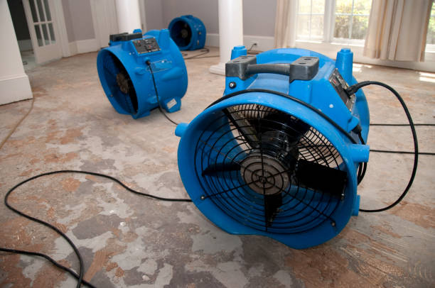 Best Water damage restoration specialists  in Valley Green, PA