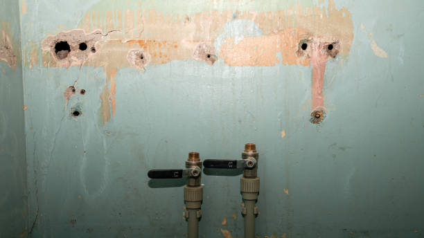 Best Professional water damage repair  in Valley Green, PA
