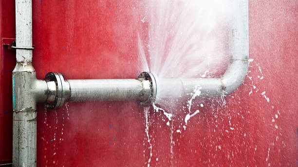 Best Mold removal after water damage  in Valley Green, PA